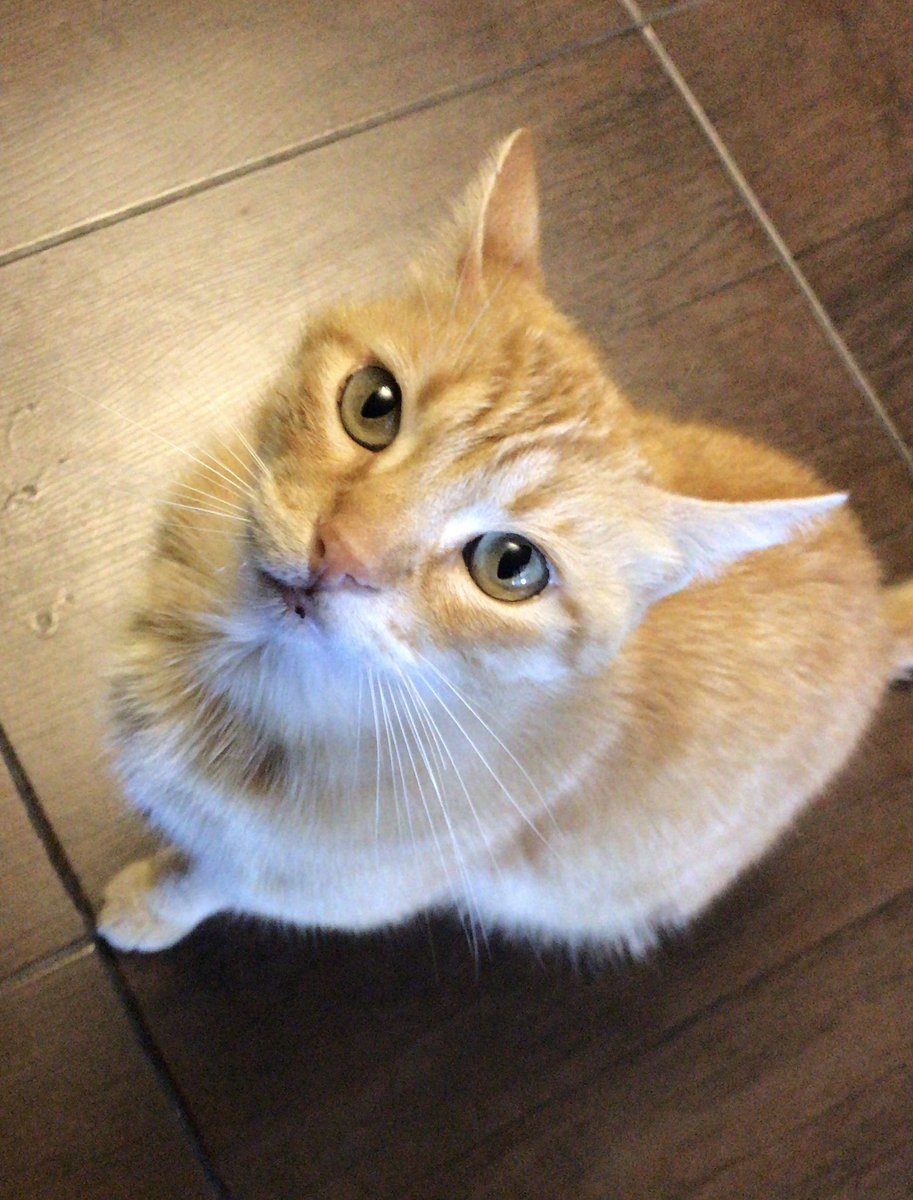 Andrea Bosco tweet media