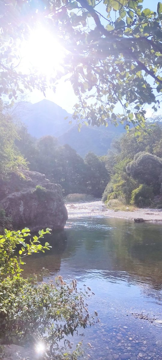 baldur003's tweet photo. A little break near the river. https://t.co/A5EBy0CdSb