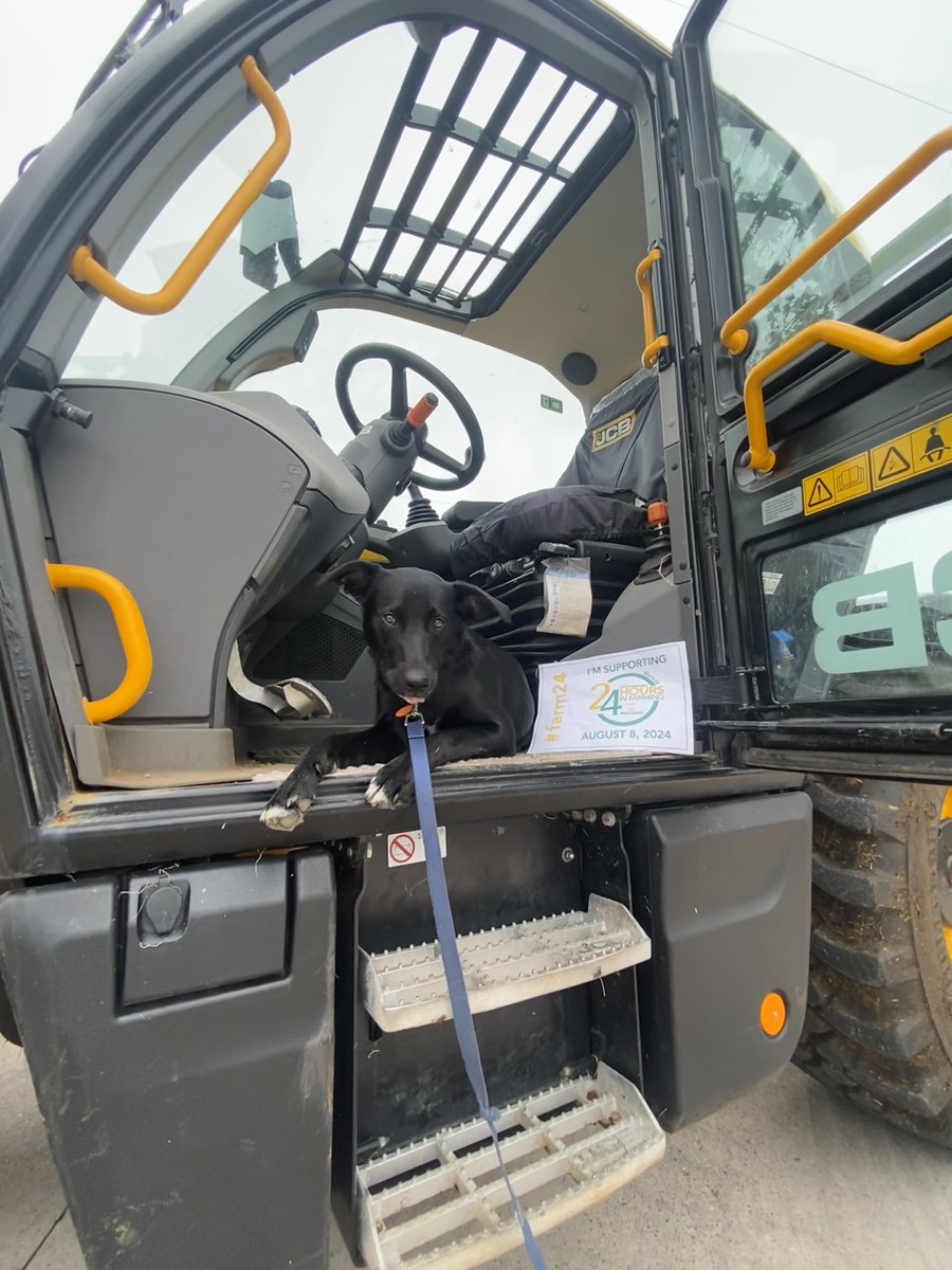 bethhowells8's tweet photo. We proudly support #Farm24 !! Thank you for all who work tirelessly to ensure we have safe, healthy and nutritious food on the table! 

Pip wasn’t too impressed with the JCB though 😂

@Morrisons @FarmersGuardian https://t.co/JZ2ZKMNldr