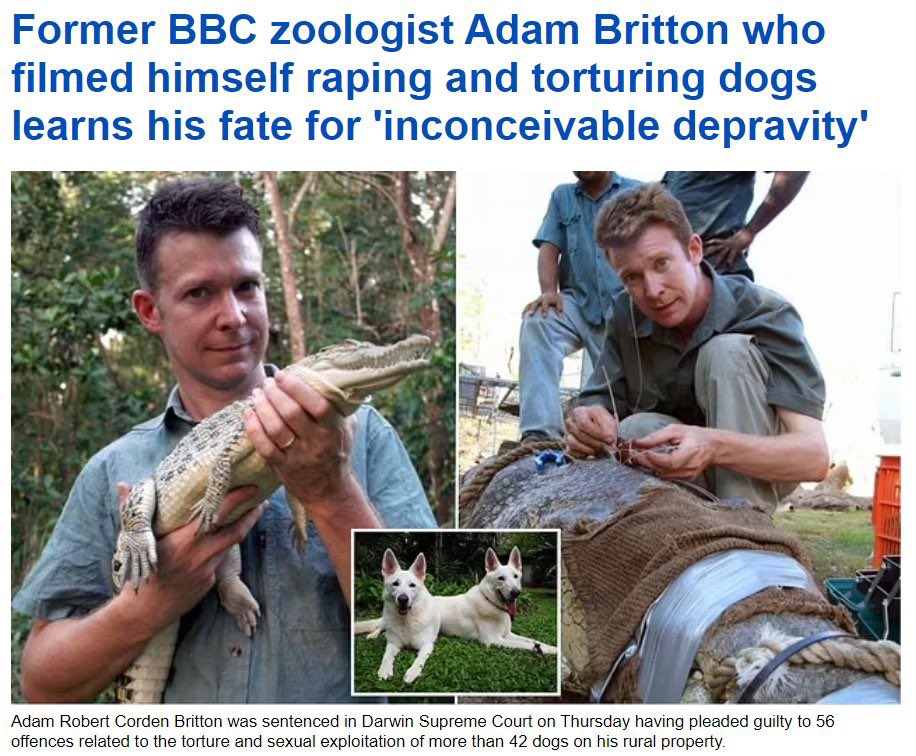 TateTheTalisman's tweet photo. Hey @BBCWorld come get your boy. https://t.co/HffpOeD4OW
