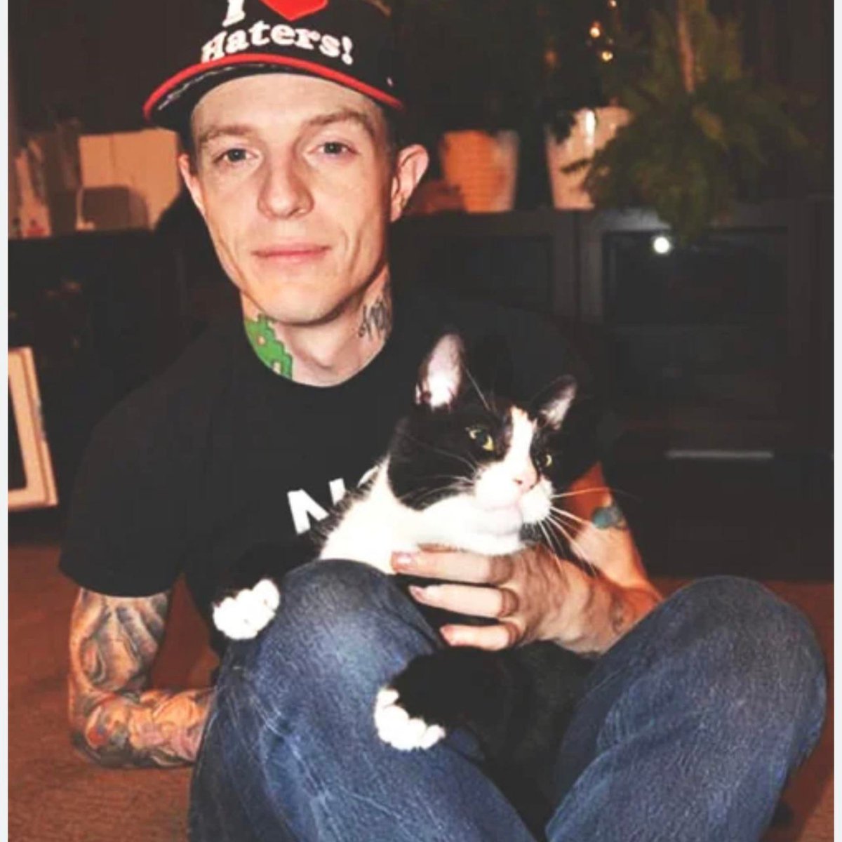 mau5trap's tweet image. one year later. we miss you meowingtons &amp;lt;3   

for meowingtons&apos; memorial we&apos;ll be replaying the mau5 memories all day. r.i.p. Professor Meowingtons Phd, forever in our hearts and in our ears