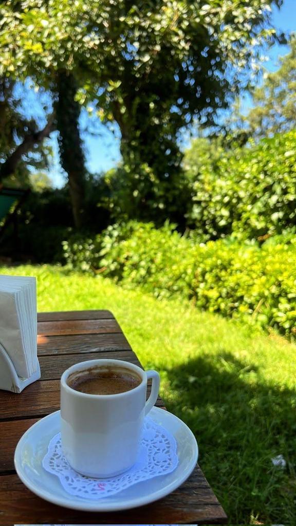 Ne çok ses var ne çok...dedikçe sadeleşiyor insan.