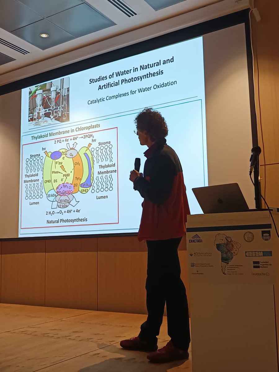 Conesul2024 tweet media