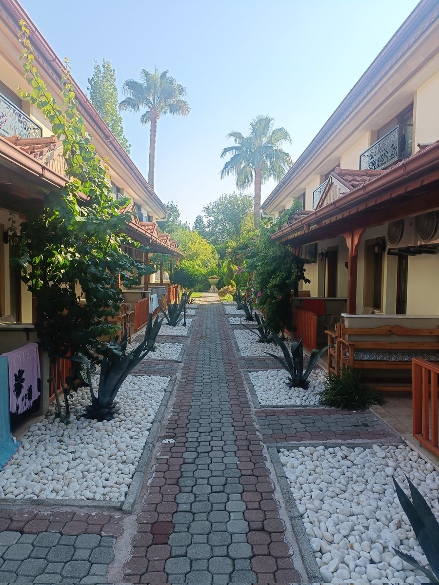 Dan Edmonds tweet media