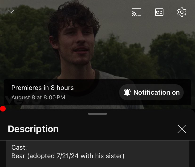MendesNotified's tweet photo. In Shawn’s #WhyWhyWhy description on youtube, not only does he have Bear listed as a cast member in the music video, but he also states that Bear and his sister were both adopted July 21st! ❤️🐾 https://t.co/G8tPEig86A