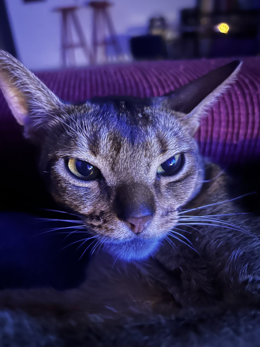 Qué tiempos tan extraños. La verdad es que ahora mismo y con este puto calor, lo único que me reconforta —y me refresca—, son los chavales de Futuro Vegetal atacando a millonarios. 

Así os lee Fidel.