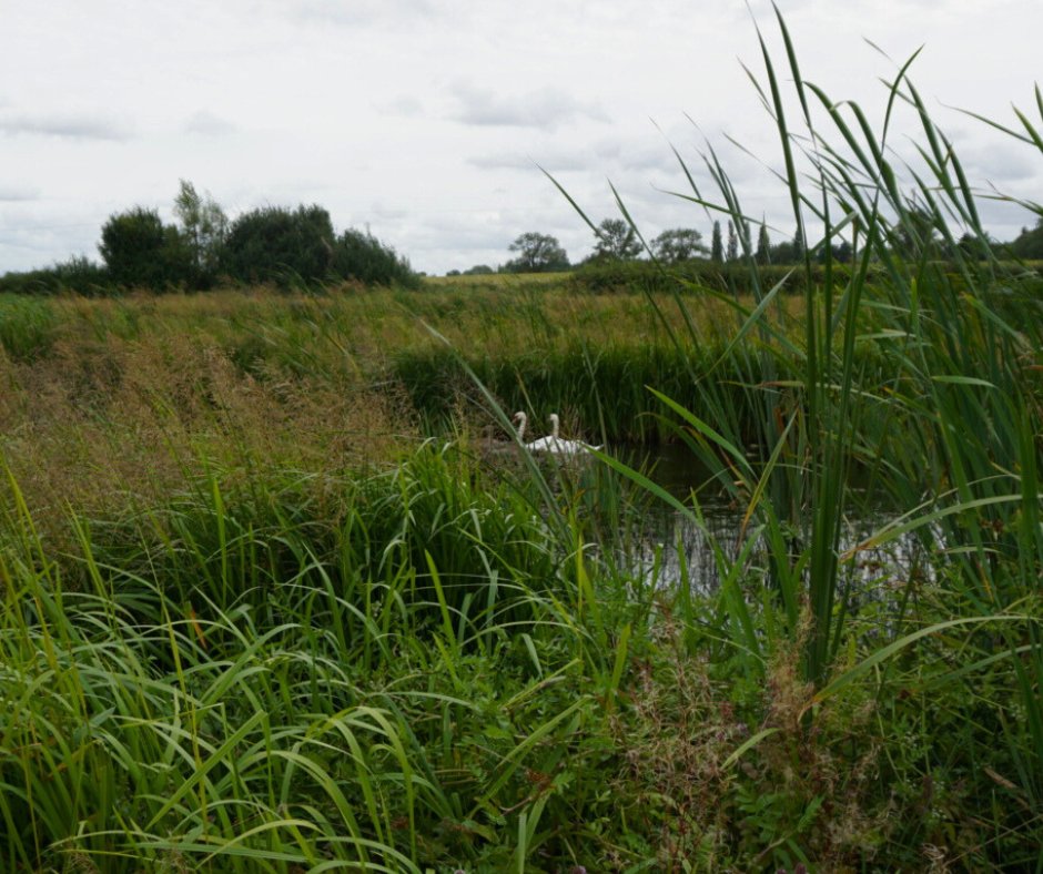 HerefordshireCouncil tweet media