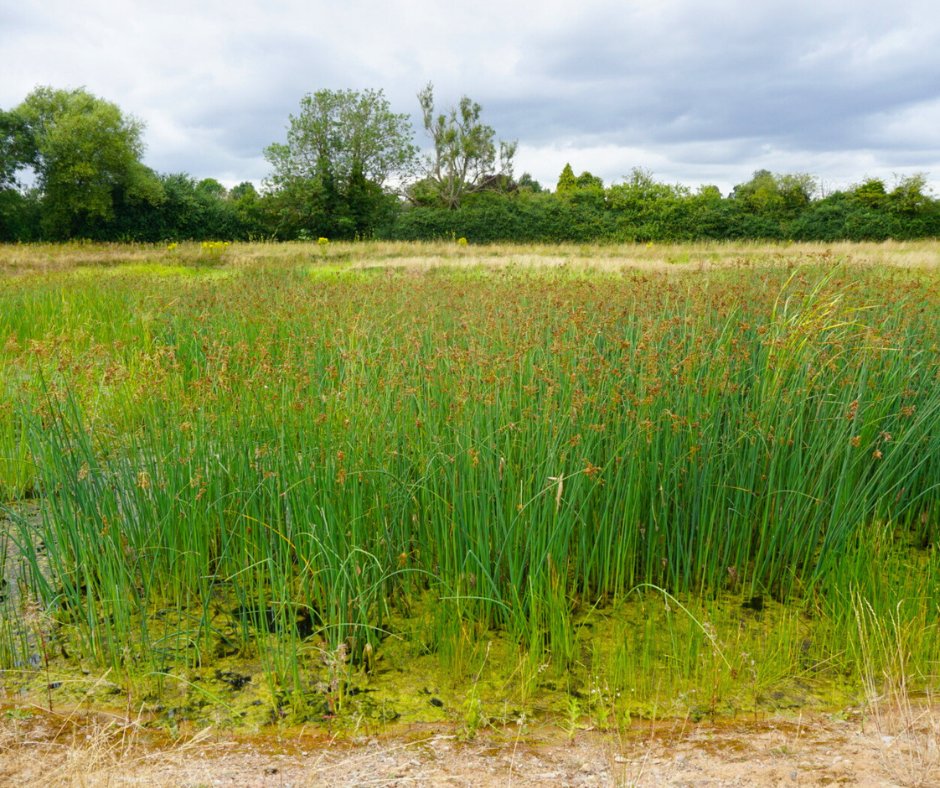 HerefordshireCouncil tweet media