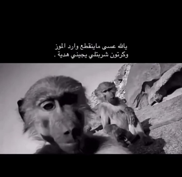 WWa6t's tweet image. 