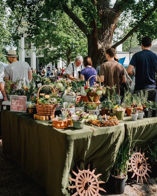 LeoValmont32361's tweet image. 🌺 Rendez-vous ce dimanche, place de la mairie de Jolieville, pour le marché aux fleurs. De 8h à 18h, 35 exposants vous émerveilleront ! 🌻
#fleur #marchélocal