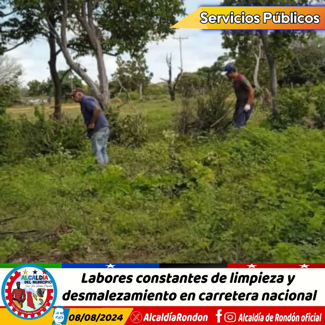 #8Ago 🚧🧹Labores constantes de limpieza y desmalezamiento en carretera nacional

#ConDiosyElPuebloVamosPaLante

#JuanJoséRondón 
#LasMercedesDelLlano
#Guárico
#GuáricoProduce
#PuebloSonrienteYEnPaz

instagram.com/p/C-af1Egu4aT/…