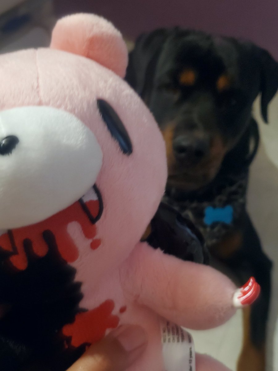 nessacadaver's tweet photo. HAPPY CORPSE DAAAAY

best day ever ,my dog bruno and denisse send you a big hug 🤗
Hope you have a wonderful day 

#happybirthdaycorpse 
#corpsetwtselfieday https://t.co/S0M9L2fmns