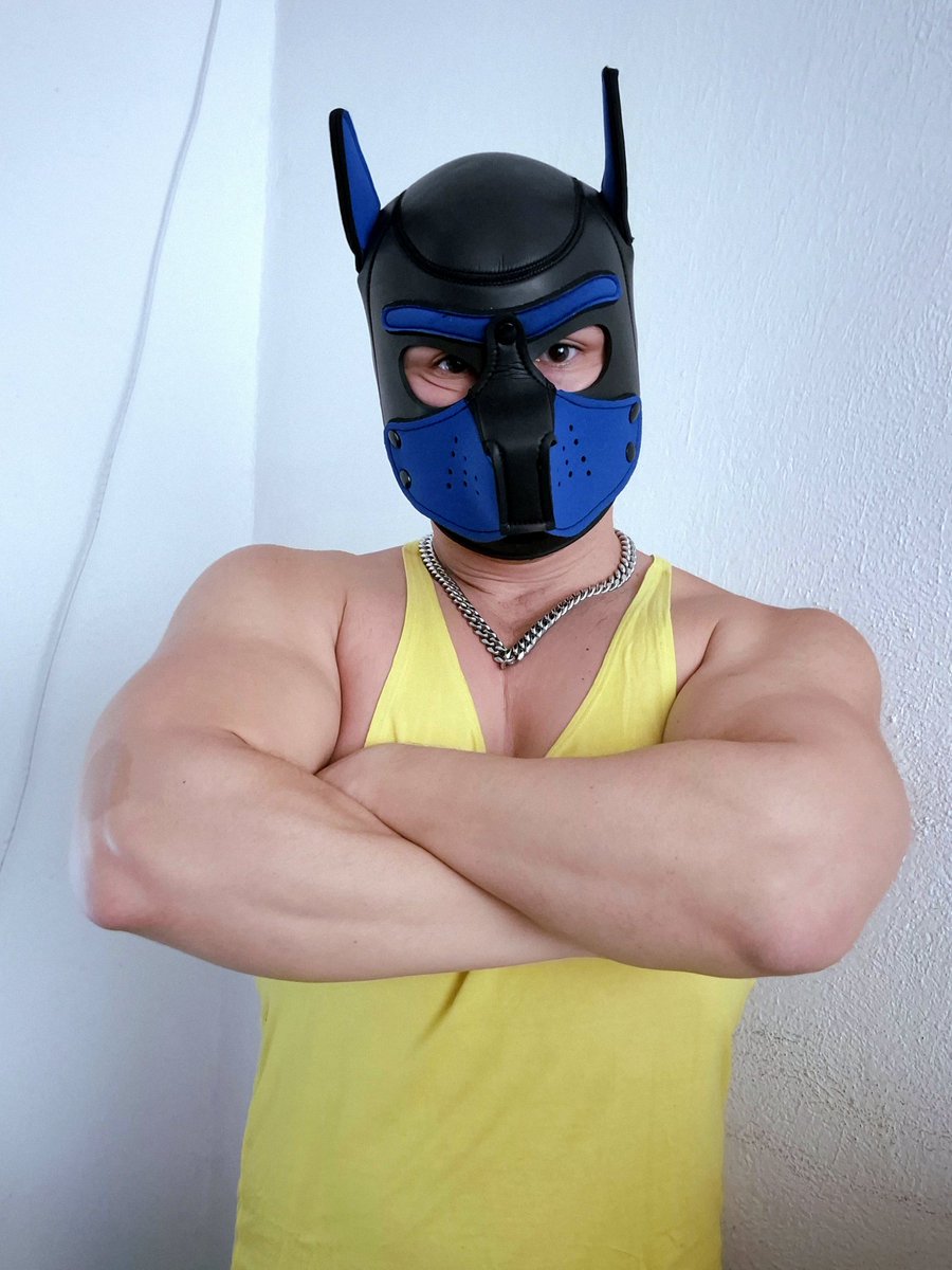 What are you looking?