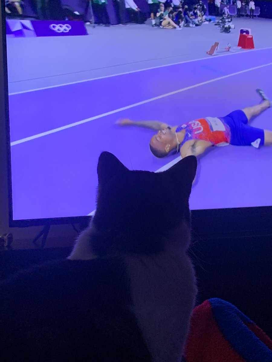 #InternationalCatDay