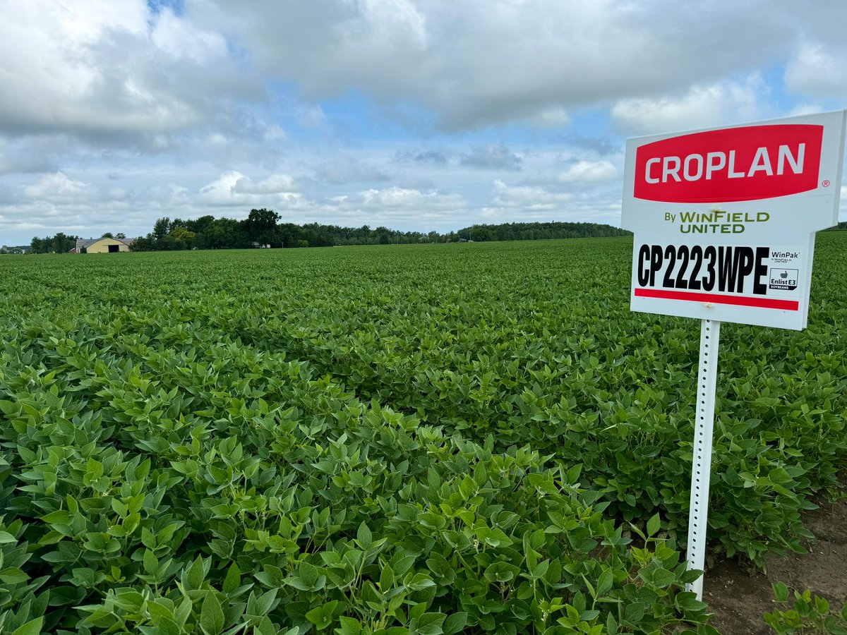 ChrisRoy00's tweet image. Just checked out some impressive #CROPLAN soybeans in Essex County. Excited to see the potential this season. 🌱 #Ontag #WinFieldUnitedCanada