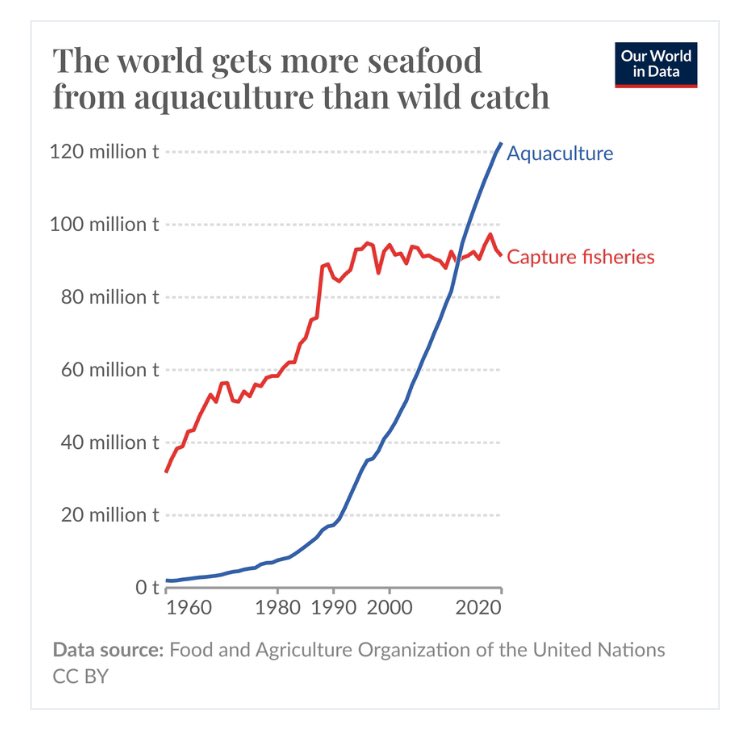 Hetan Shah (@hetanshah) on Twitter photo Did you know the world now gets more seafood from aquaculture than wild catch? The latest daily data insight from <a href="/OurWorldInData/">Our World in Data</a>
See more of them here and sign up for them to be sent to your inbox!
ourworldindata.org/data-insights?… Did you know the world now gets more seafood from aquaculture than wild catch? The latest daily data insight from <a href="/OurWorldInData/">Our World in Data</a>
See more of them here and sign up for them to be sent to your inbox!
ourworldindata.org/data-insights?…