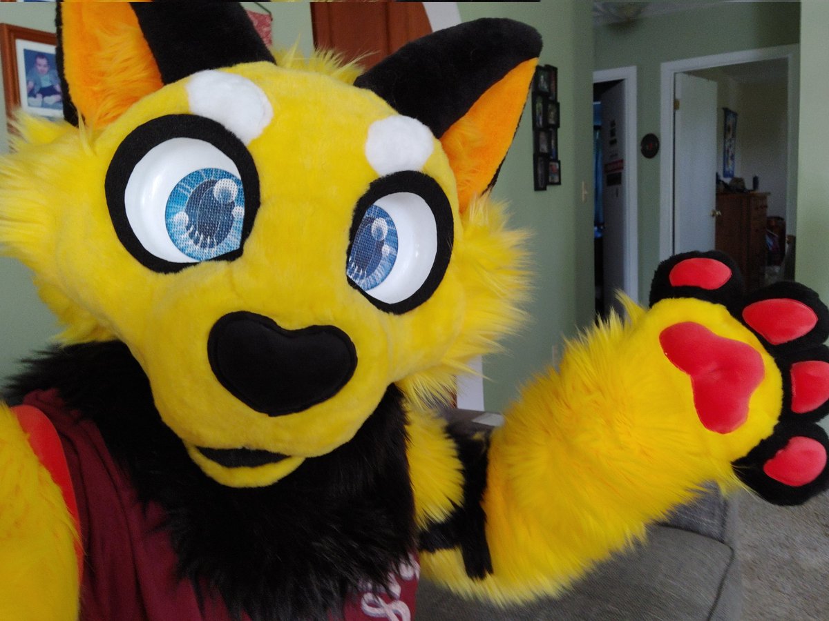 International Cat Day, you say? Isn't that supposed to be everyday? #internationalcatday2024 #internationalcatday