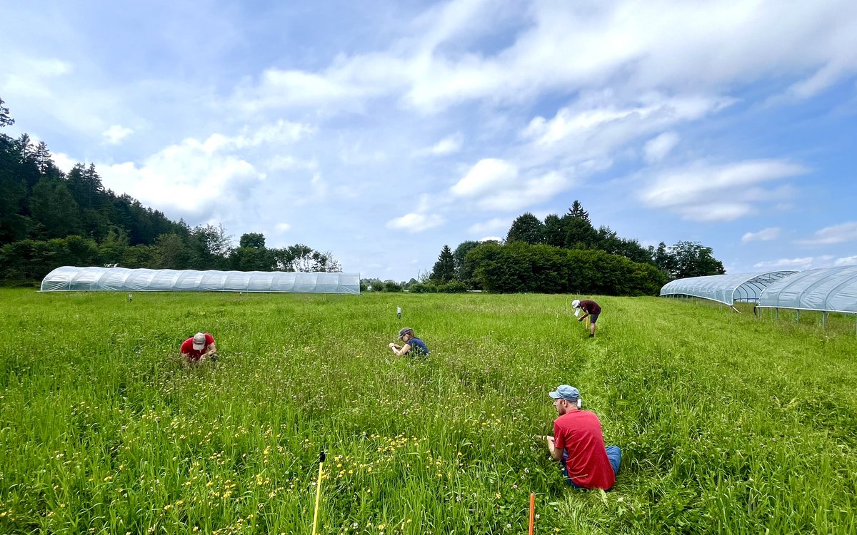 Dr Pierre Mariotte (@pierremariotte) on Twitter photo Collecting the leaves of #forage species in our #drought-resistant mixtures to measure plant functional traits ☘️🌱☀️
#DryMountProject <a href="/emilie_roinel/">Emilie Roinel</a> <a href="/AllanEcology/">Allan Ecology Group</a> <a href="/agroscope/">Agroscope</a> @maxprobo_ Collecting the leaves of #forage species in our #drought-resistant mixtures to measure plant functional traits ☘️🌱☀️
#DryMountProject <a href="/emilie_roinel/">Emilie Roinel</a> <a href="/AllanEcology/">Allan Ecology Group</a> <a href="/agroscope/">Agroscope</a> @maxprobo_