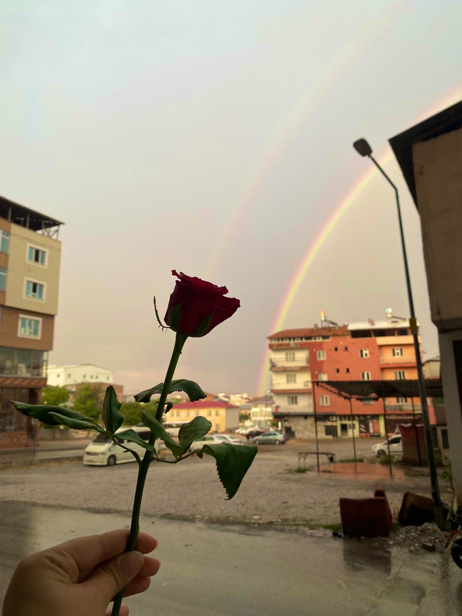 Kadın olmak yağmuru doğurup, yıldırımda alev almak gibi bir zûl mevsimidir. 
Bayrak diken, zehir biçen, ırmak ören kadınlar…