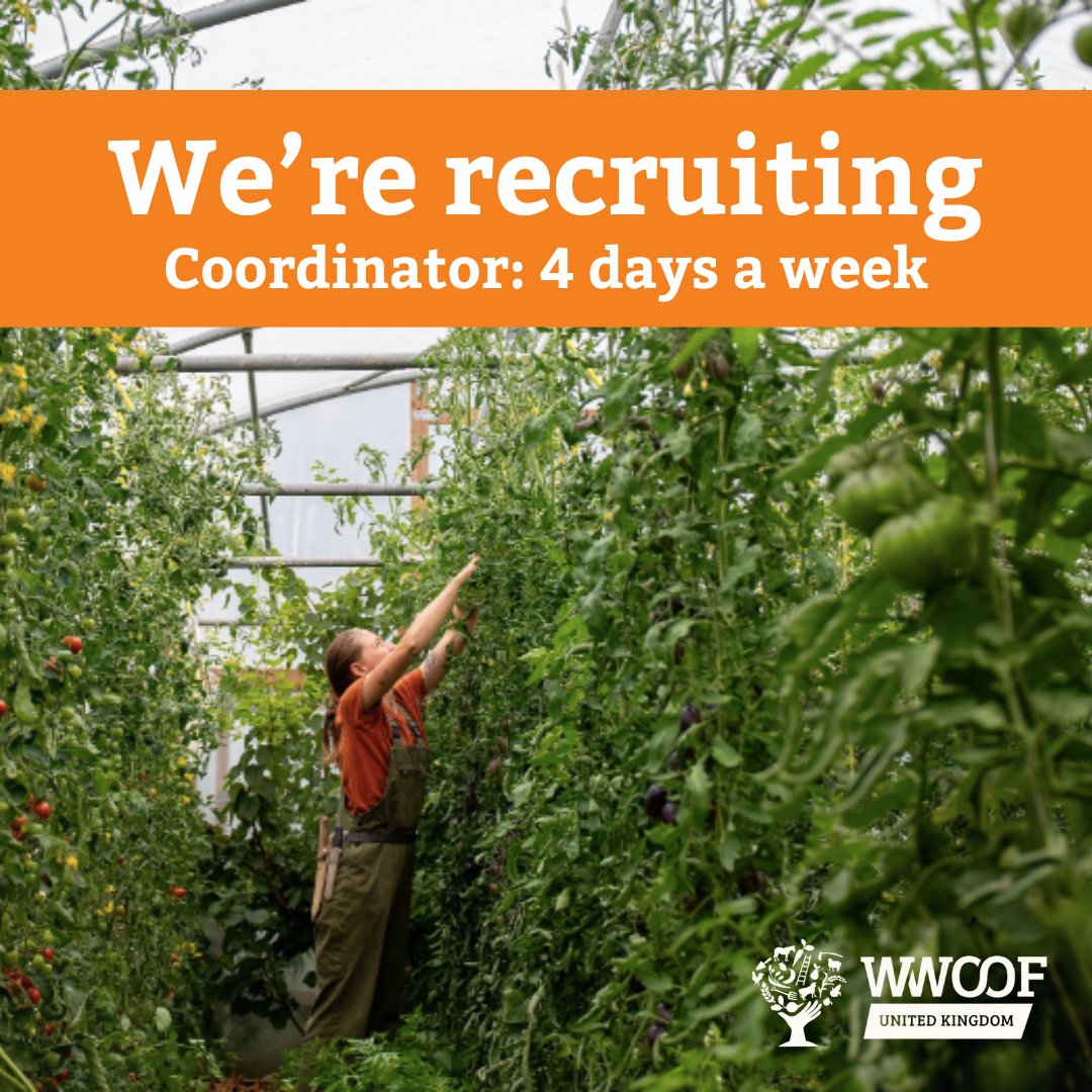 📢 Exciting announcement 📢

For the first time in 17 years the role of WWOOF UK Coordinator is becoming vacant.

bit.ly/WWOOFcoordinat…

🧵1/5