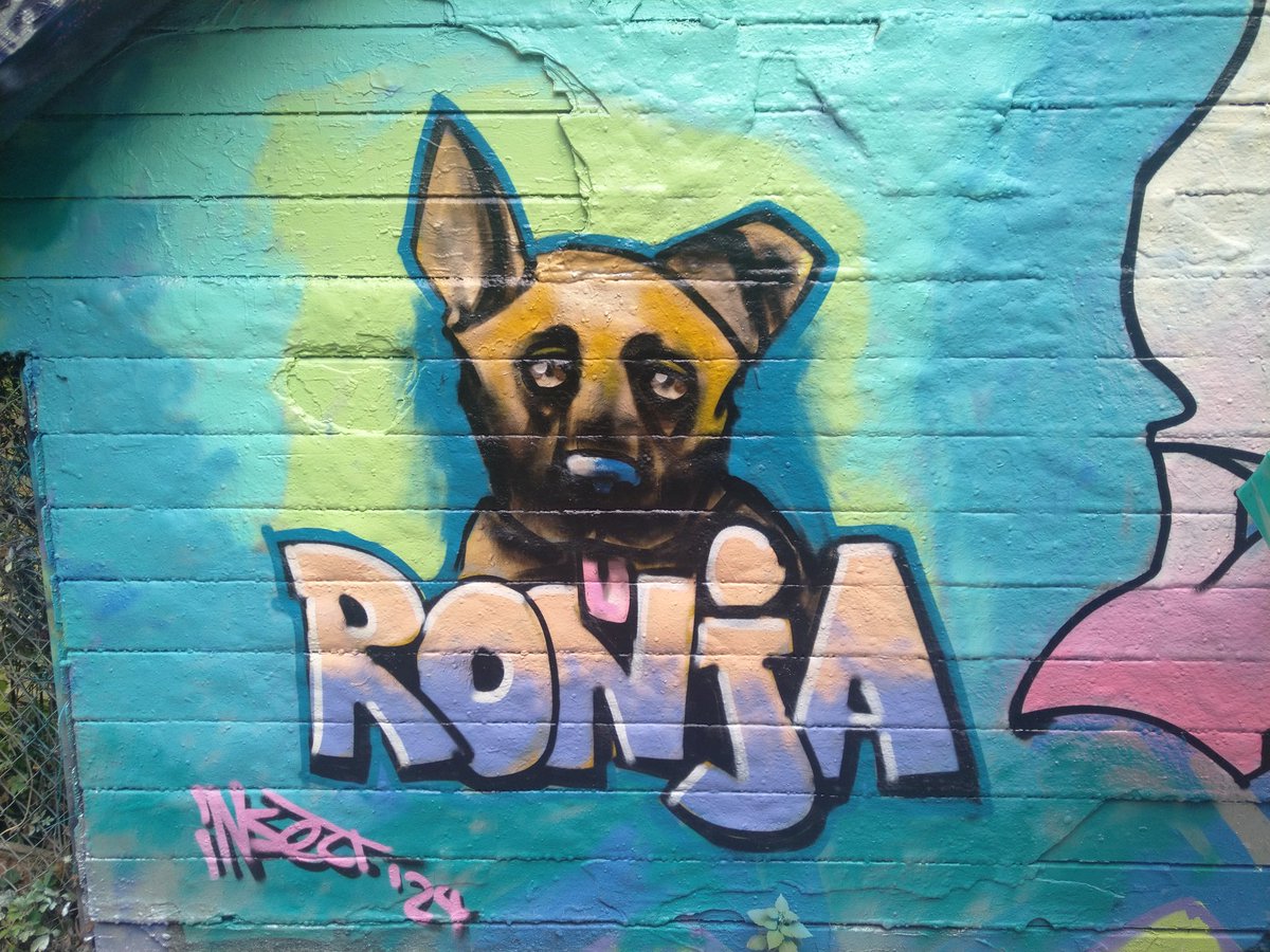 Insect_77's tweet image. 