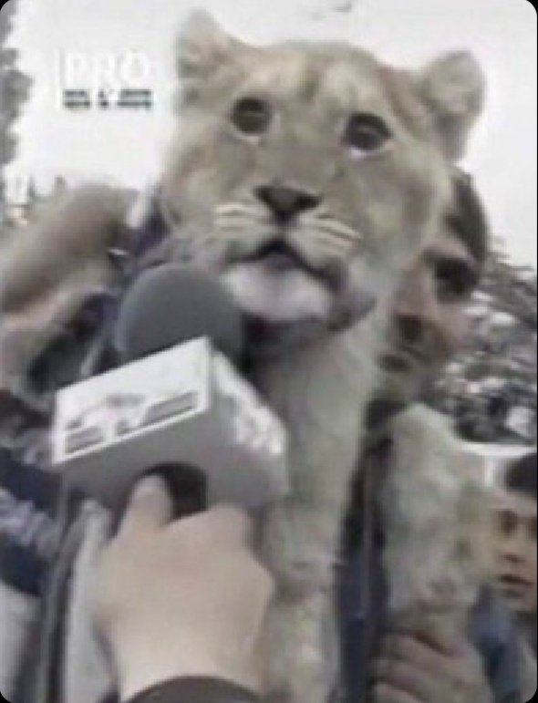 Como
Como que filtraron la 2da season de #Arcane  😳