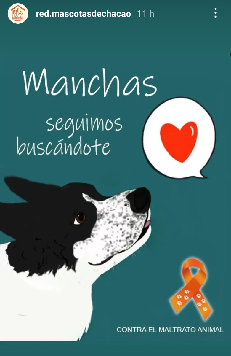 Janya75's tweet photo. #FarmatodoEsMaltratoAnimal
#Farmamuerte
#JusticiaParaManchas
#DondeEstaManchas 🆘🆘🆘 https://t.co/AddV8hMAJH