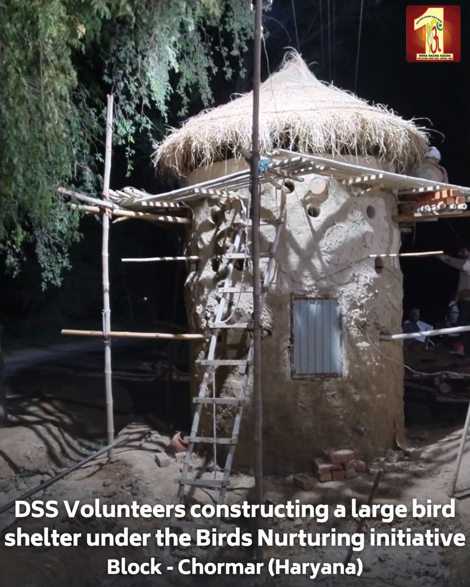 DSSNewsUpdates's tweet photo. Birds grace our skies, yet their habitats often go unnoticed. Rising above expectations, Dera Sacha Sauda volunteers, inspired by Revered Saint Dr. MSG Insan, are dedicated to providing large bird shelters for our avian friends. It is quite applauding that these compassionate volunteers are investing their time, efforts, and resources for this noble cause. #BirdsNurturing #ShelterForAll #WildlifeConservation #EcoFriendlyProjects