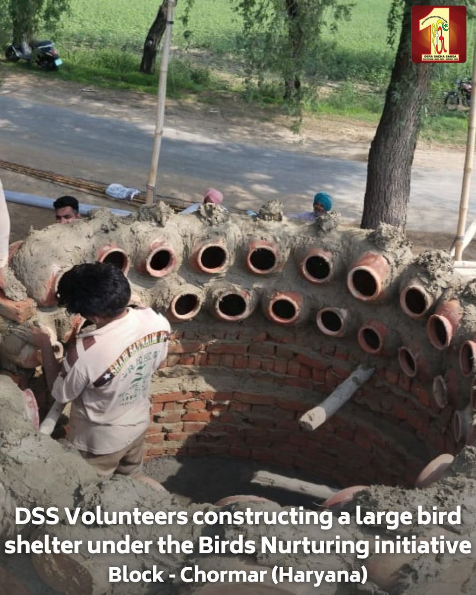 DSSNewsUpdates's tweet photo. Birds grace our skies, yet their habitats often go unnoticed. Rising above expectations, Dera Sacha Sauda volunteers, inspired by Revered Saint Dr. MSG Insan, are dedicated to providing large bird shelters for our avian friends. It is quite applauding that these compassionate volunteers are investing their time, efforts, and resources for this noble cause. #BirdsNurturing #ShelterForAll #WildlifeConservation #EcoFriendlyProjects
