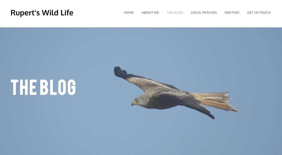 Rupert Evershed tweet media