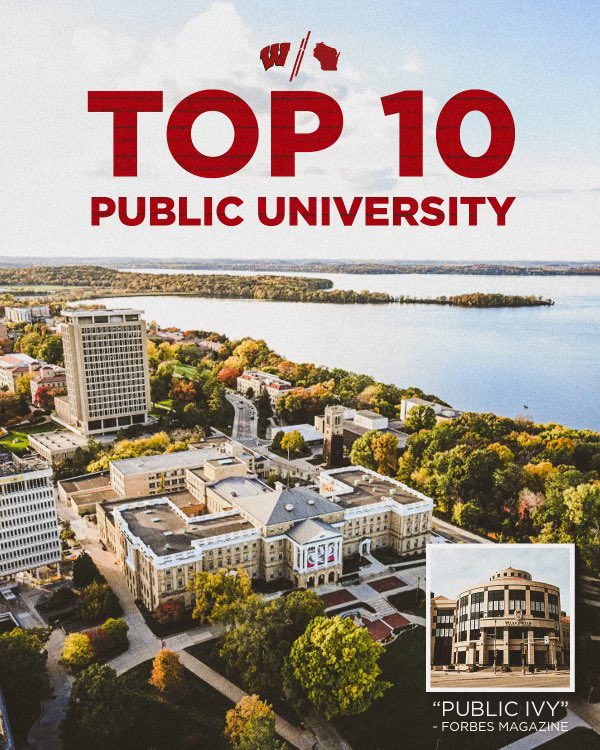 📝📚🎓🦡‼️