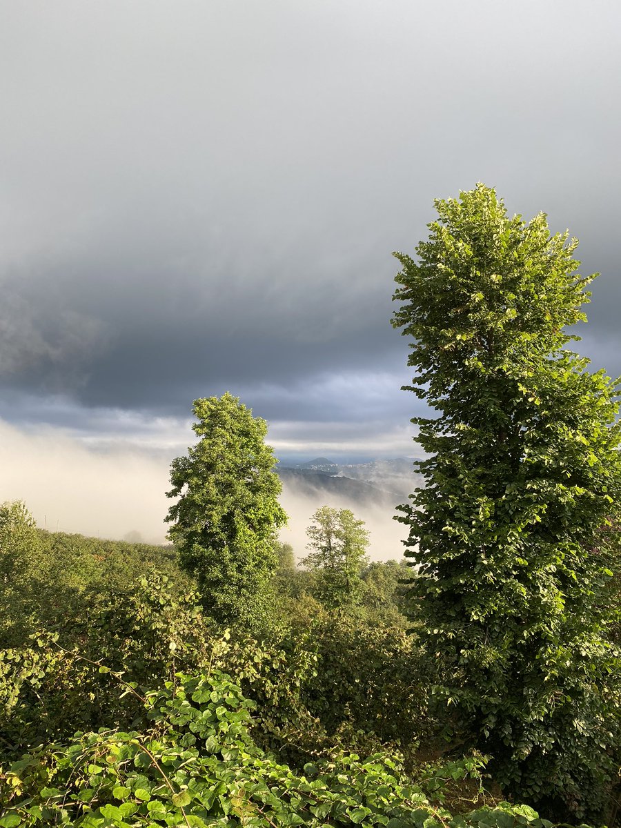 Bugün şöyleli bir sabaha uyandık🫠🌸🤍