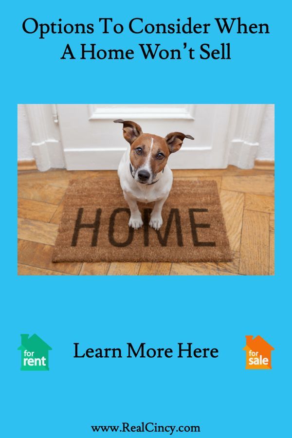 HomeStagingDIY's tweet image. Four choices to consider if your home isn't selling.  buff.ly/3WAux9W