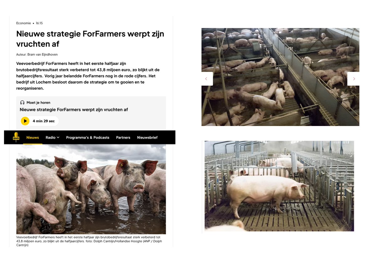 Serieus <a href="/BNR/">BNR Nieuwsradio</a> Nieuwsradio? Varkens in een modderpoel bij een item over @forfarmers? Jullie weten dat het er eerder uitziet als die dieren op rechts? #blijfscherp #varkens