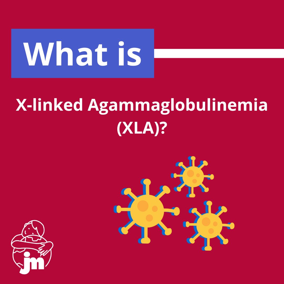 Info4PI's tweet photo. Today’s PI: X-linked Agammaglobulinemia, or #XLA is an inherited #PrimaryImmunodeficiency caused by a #GeneDefect that blocks the growth of normal, mature immune cells called B lymphocytes. Swipe through to learn more about XLA and stay tuned to learn about more types of PIs 💛 https://t.co/PjRs5CD4vm