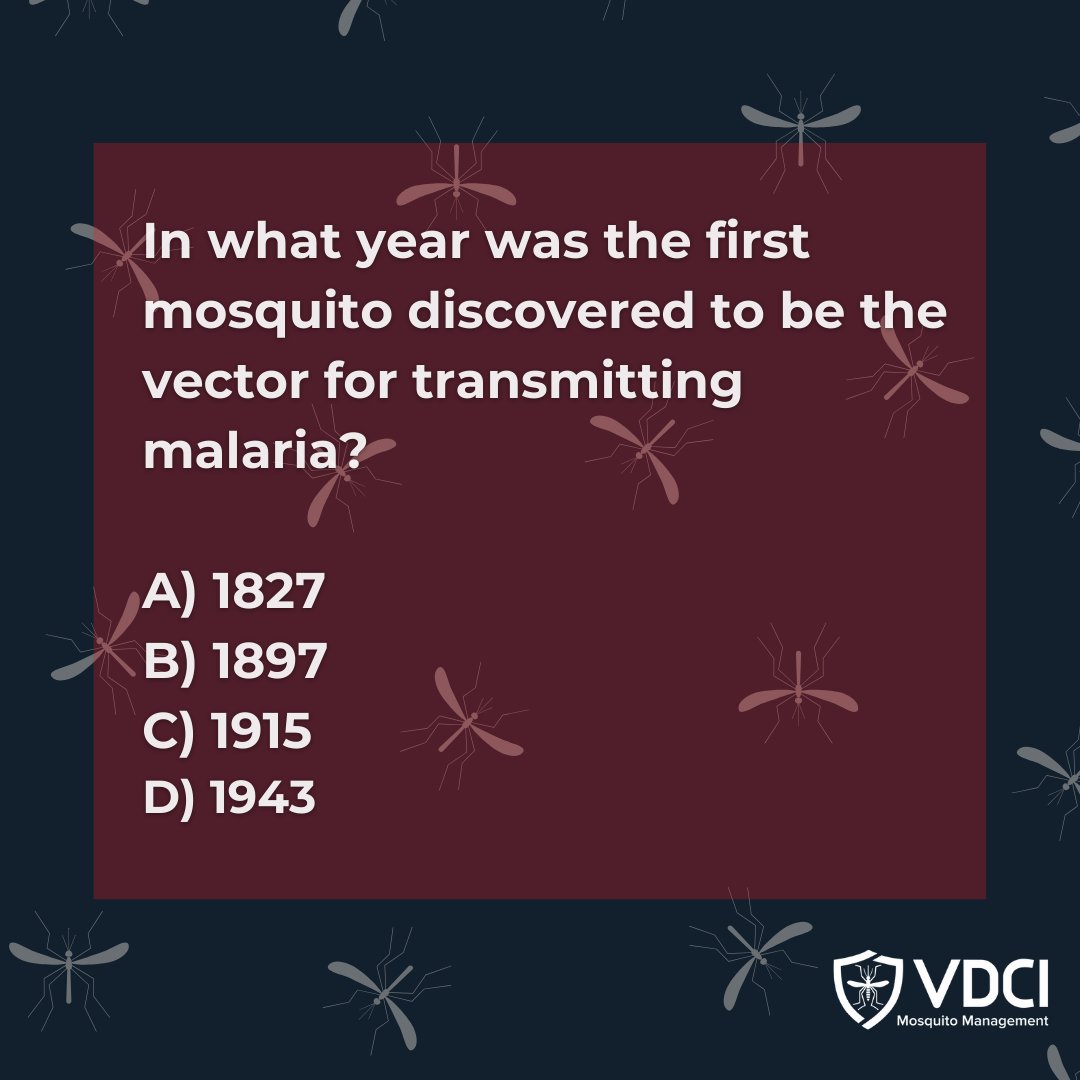 VDCI Mosquito 🦟 tweet media