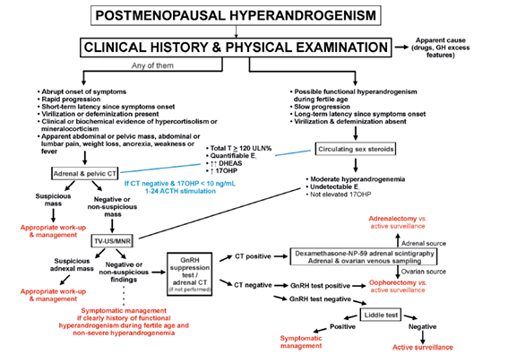 sociedadSEEN's tweet photo. 📕Postmenopausal onset of androgen excess: a diagnostic and therapeutic algorithm based on extensive clinical experience

📌Las características clínicas o BQ de un tumor secretor de andrógenos deben llevar a realizar pruebas de imagen
https://t.co/cPpc22hl8M
@GrupoGIDSEEN https://t.co/giPony9YYi