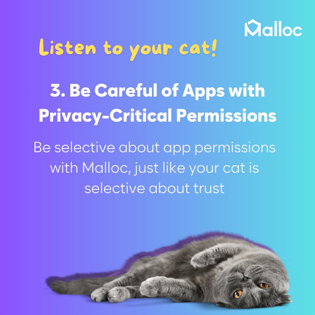 MallocPrivacy's tweet image. Happy International Cat Day! 🐱🎉 And don't forget to listen to your cat! 🐾😺 #cat #InternationalCatDay #malloc