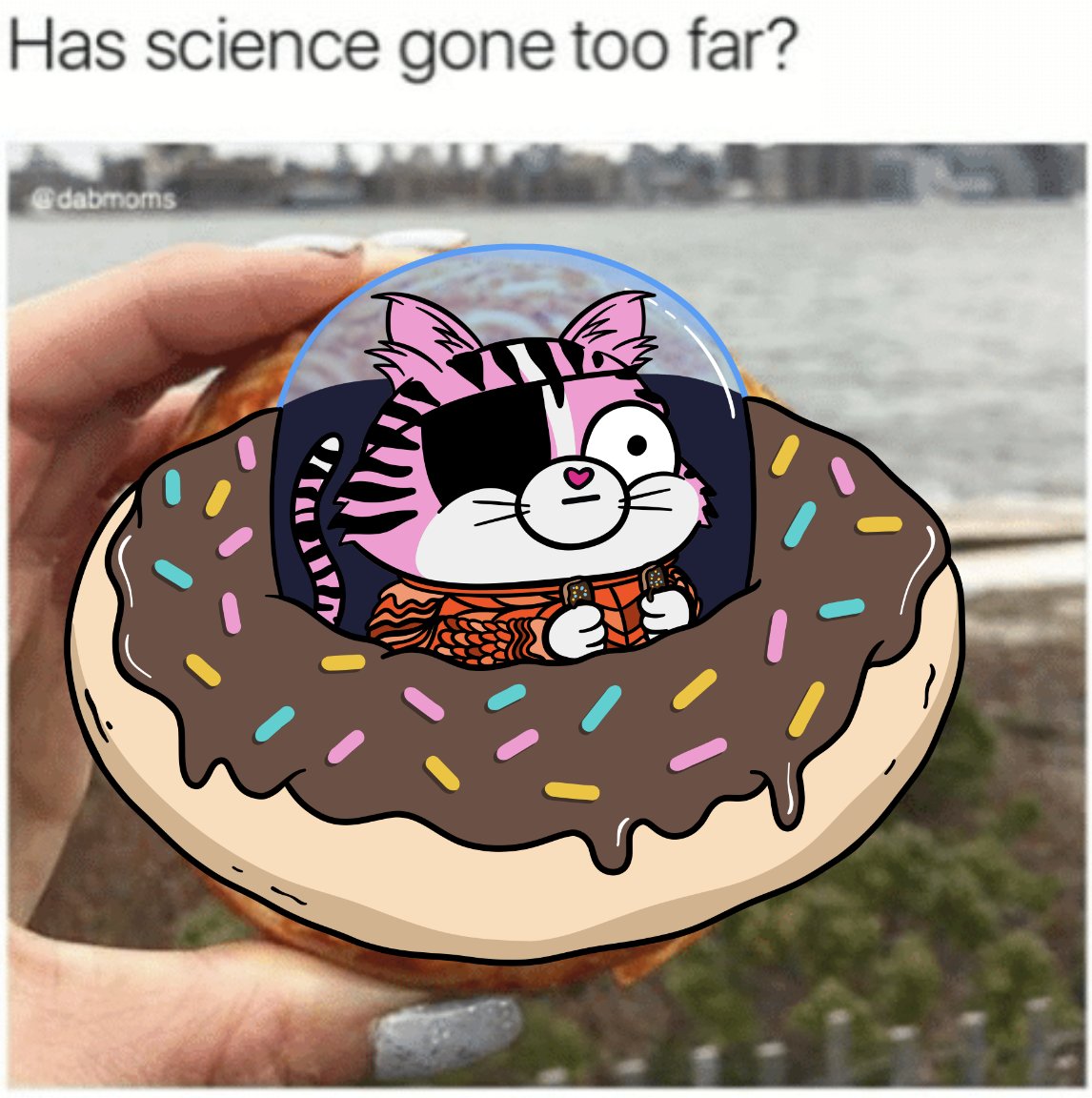 hovercats_gg's tweet photo. Never far enough. We need MOAR!
#Hovercats $NOM https://t.co/xkcluCWVJP