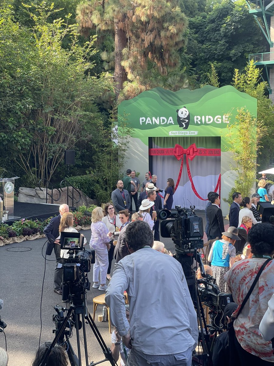 The Pandas are officially making their public debut today at <a href="/sandiegozoo/">San Diego Zoo Wildlife Alliance</a> 

Stream the Opening Ceremony on our  <a href="/10news/">ABC 10News San Diego</a> website, starting any minute!

The Panda Ridge Exhibit opens at noon!