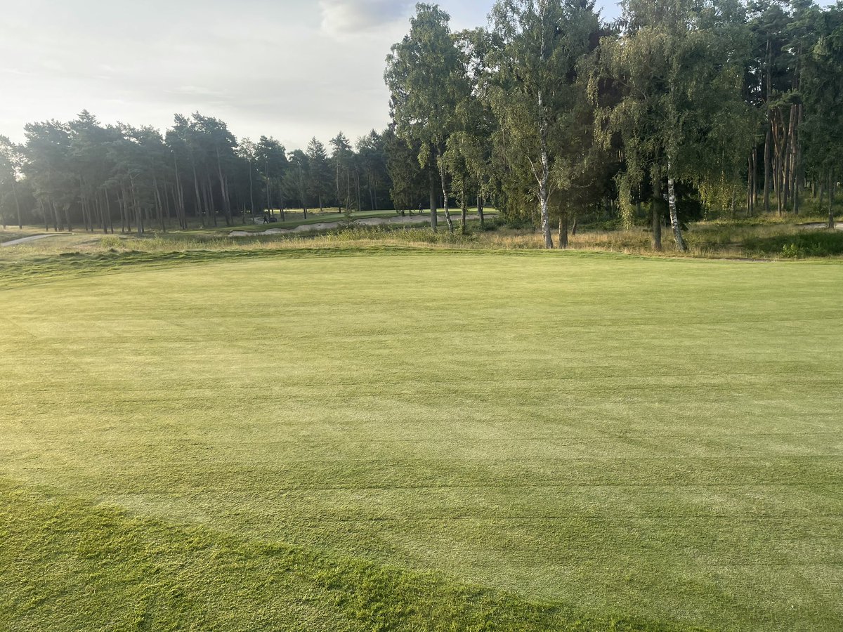 Spencer Lloyd-Pye tweet media