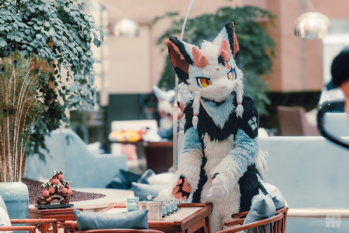 #furry #fursuit #HiFurry返图