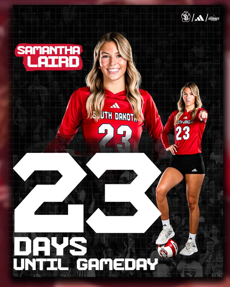 SDCoyotesVB's tweet photo. The countdown to game 1 starts 𝒏𝒐𝒘 🤩

#GoYotes x #WeAreSouthDakota 🐾 https://t.co/MTLzDVS2v4