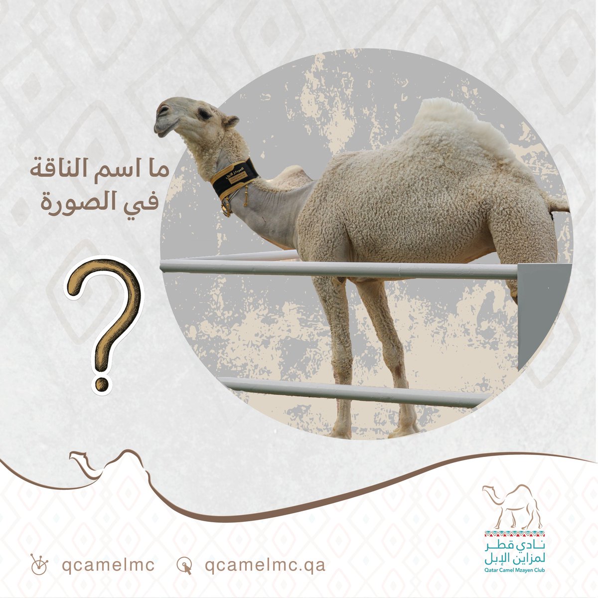 QCamelMC's tweet photo. سؤال الأسبوع من #مسابقة_جزيلات_العطا

🧭 نستقبل الإجابات حتى يوم الإثنين 12 أغسطس

 ⬅️ اختيار الفائز عبر السحب في بث مباشر يتم الإعلان عن موعده نهاية الشهر الجاري.

🔴 ملاحظة: يتم اختيار الفائز بعد استيفاء جميع شروط المسابقة فقط. https://t.co/kib0Vc6oZF