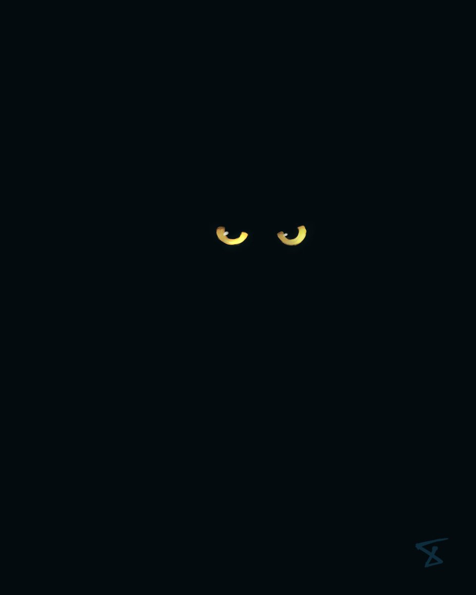 SMACS_'s tweet photo. I drew a black cat in a dark room hehe https://t.co/7onD8LfbTr