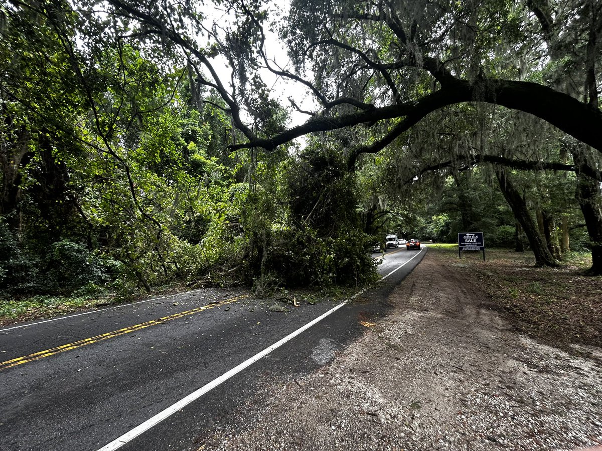 STJFD's tweet image. A large tree has fallen across the road in the 3300 block of Bohicket Road. It is larger than Fire units can handle. SC DOT has been notified. 

Motorists: please use Edenvale Road and River Road.
