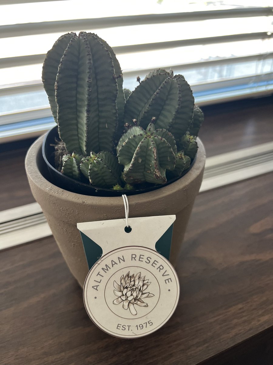 TJLynnMD's tweet photo. βYour office needs something green.β Thanks to Dr. Yuil-Valdes (@ana_yuil ) for this cute office green gift!π΅π¬ #TeamCyto #CytoRocks https://t.co/r3YxGMWNwz