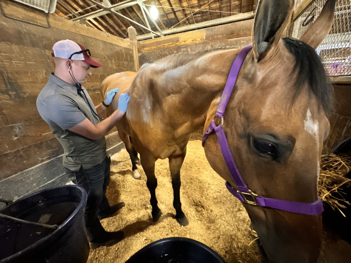 ISUVetMed's tweet photo. @ISUVetMed is providing health care for animals at the Iowa State Fair during its 11-day run including fourth-year student Adam Steffensmeier. Prospective students can also pick up information about veterinary school at Iowa State at the 4-H Building.
https://t.co/sWaEnmLGT6 https://t.co/okM71SfOzg