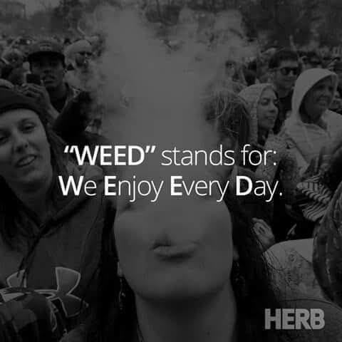 stonerjesus420's tweet image. 