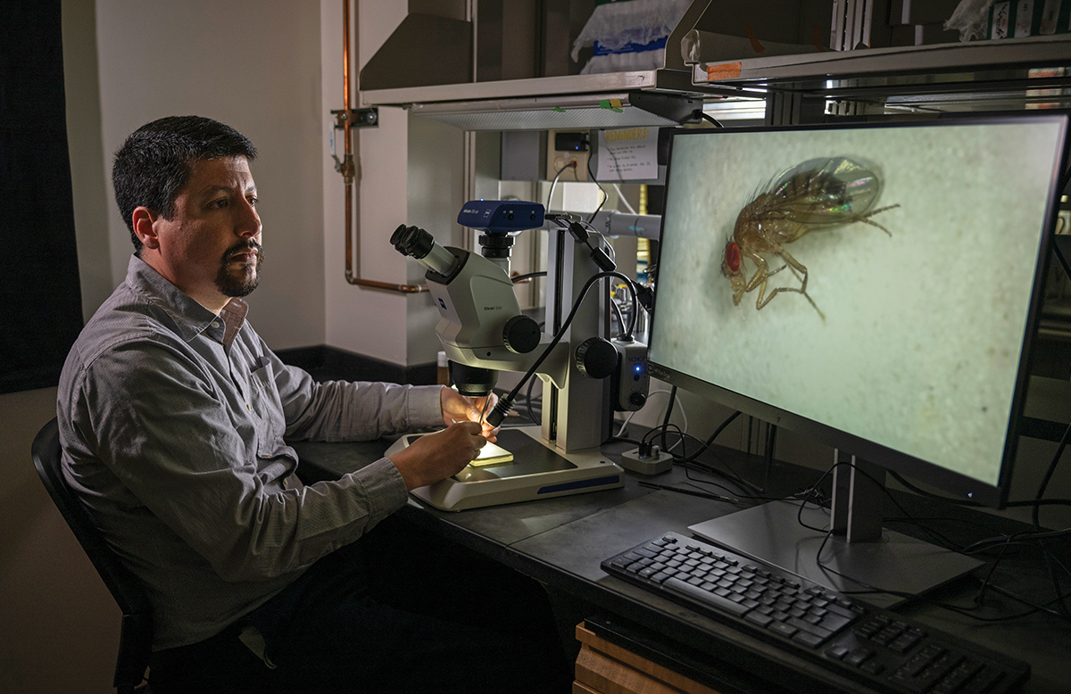 UW–Madison CALS (@uwmadisoncals) on Twitter photo Does infertility stem from too much weight or too much sugar? New <a href="/uwgenetics/">UW Madison Genetics</a> research involving fruit flies questions assumptions about obesity as the leading cause of fertility problems. Learn more in the #Summer2024Grow story: grow.cals.wisc.edu/priority-theme…
@GrowMagazineUW Does infertility stem from too much weight or too much sugar? New <a href="/uwgenetics/">UW Madison Genetics</a> research involving fruit flies questions assumptions about obesity as the leading cause of fertility problems. Learn more in the #Summer2024Grow story: grow.cals.wisc.edu/priority-theme…
@GrowMagazineUW